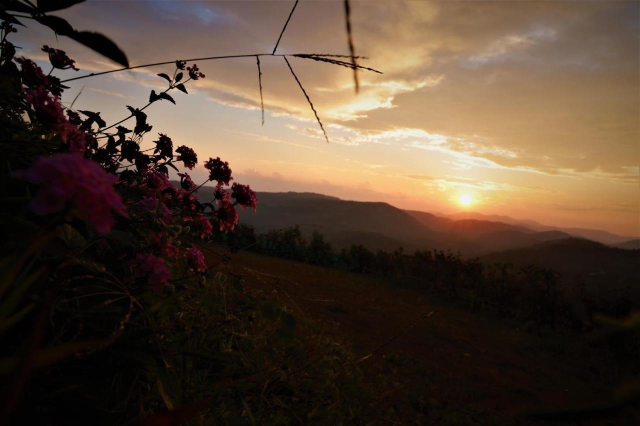 Peakaavu Cottages Idukki Eksteriør billede